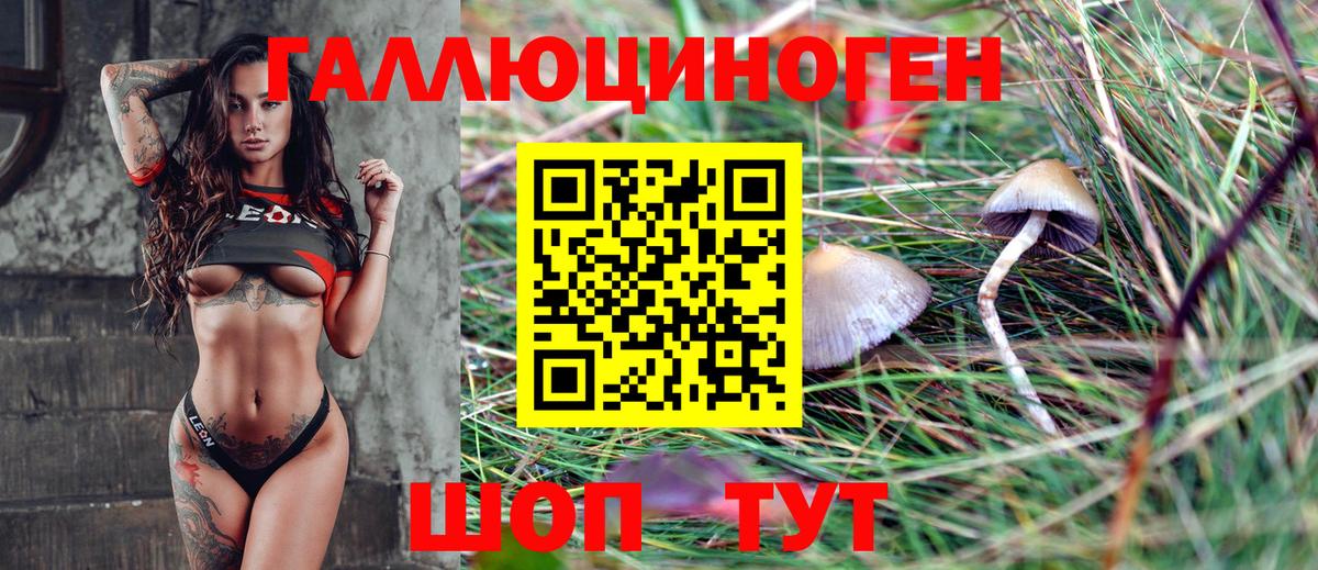 Крымск  Галлюциногенные грибы Psilocybe  Вход с VPN 